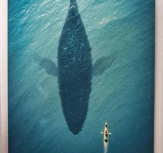 Haifisch Dom wakacyjny